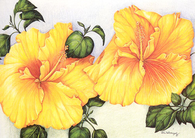 Orange Hibiscus #5