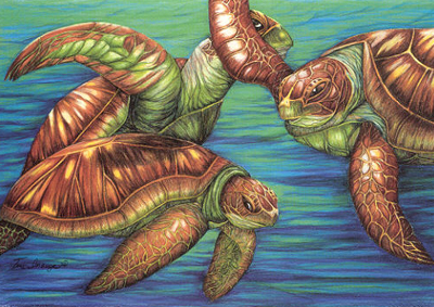 Sea Turtles